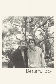 Beautiful Boy (2018) download