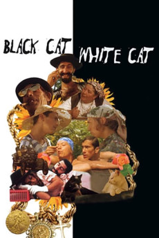 Black Cat, White Cat (1998) download