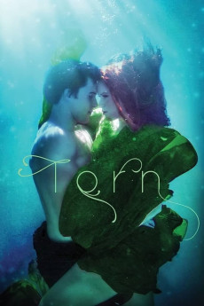 Torn (2022) download