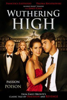 The Wrong Boyfriend (2015) download