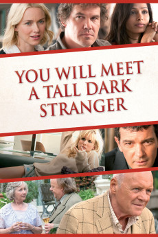 You Will Meet a Tall Dark Stranger (2010) download
